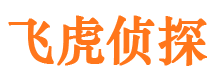 类乌齐市侦探调查公司